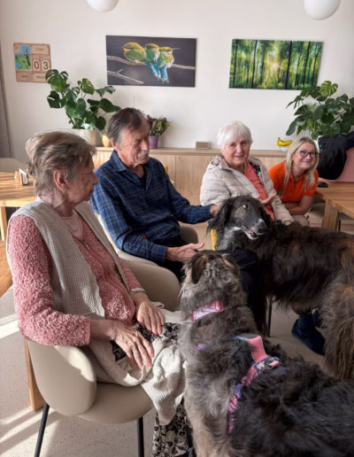 Aktivity s klienty NCDP